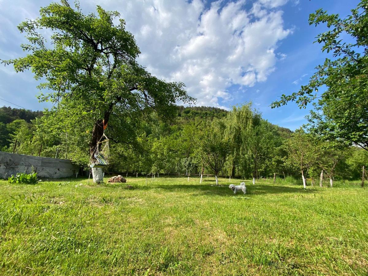 Casa Carbunaru Tirgu Ocna Luaran gambar